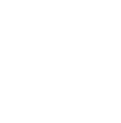 Bass - Icon